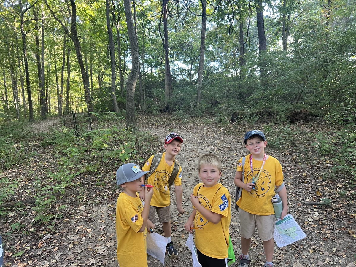 Scouts on a group hike